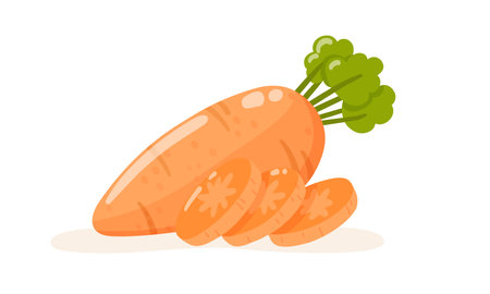 Carrot and slices. Isolated vegetable vector illustrationのイラスト素材
