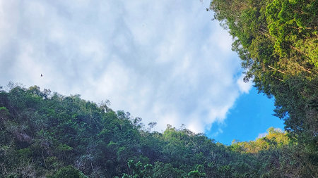 photo of a view of clouds with the forest belowの写真素材