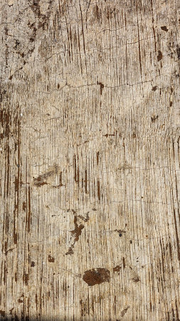 Old wood texture with natural patterns. Abstract background and texture for design.の写真素材