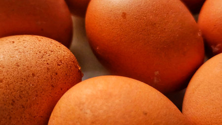 a photo of storebought chicken eggs