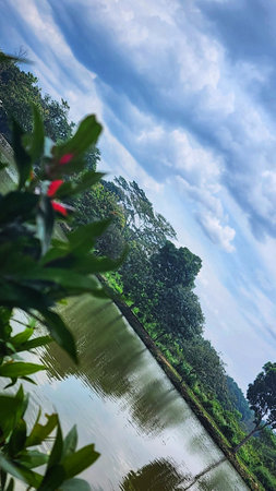 a lake with green plants and trees in the backgroundの写真素材