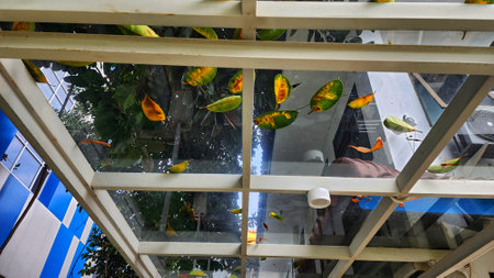 The view from the window of the shopping mall