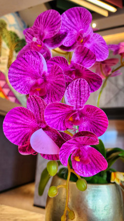 Purple orchids in a vase on a shelf.の写真素材