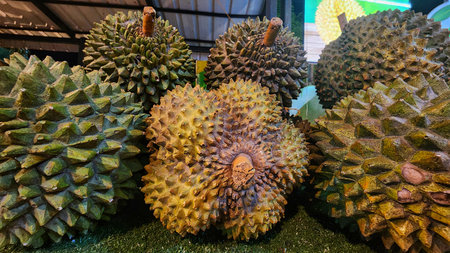 Durian fruit on the market in Thailand. Durian is a king of fruit.