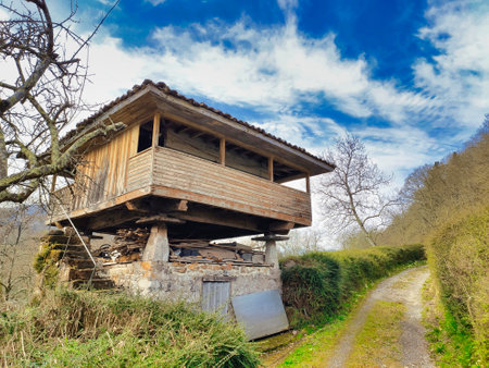 Horreo, typicla hut in Asturias, Candaneu village, PiloÃ±a, Asturias, Spainの写真素材