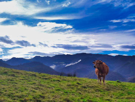 Sierra de Penamayor, Comarca de la Sidra, Nava and Bimenes municipalities, Asturias, Spainの写真素材