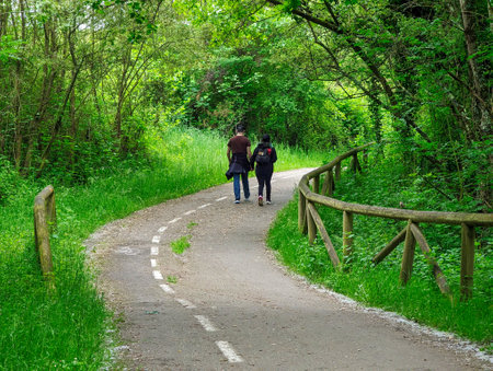 Strolling along the green path between Lieres and Pola de Siero, Senda Fluvial del Nora river,...