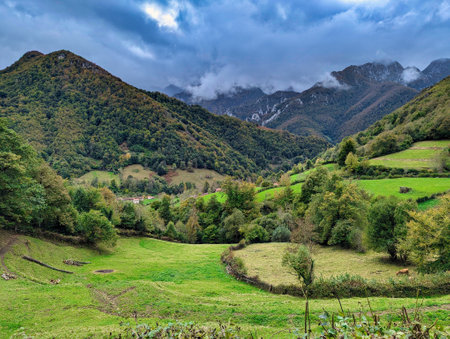 Woods and mountains near Felechosa village, Aller, Asturias, Spain