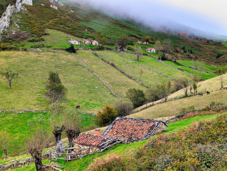 Cabin, woods and mountains on the way to Retriの写真素材