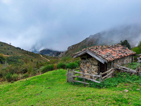 Cabin and tree in autumn near Felechosa village, Aller, Asturias, Spainの写真素材
