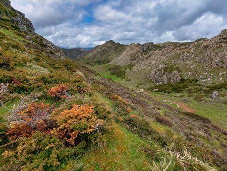 Juniperus communis vegetation in the foreground and mountains around the Camayor plain between the villages of Saliencia and Valle de Lagoの写真素材