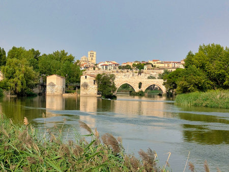 Zamora seen form Douro riverside, Zamora province, Spainの写真素材
