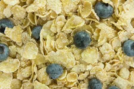 Picture of cereal with blueberries.   