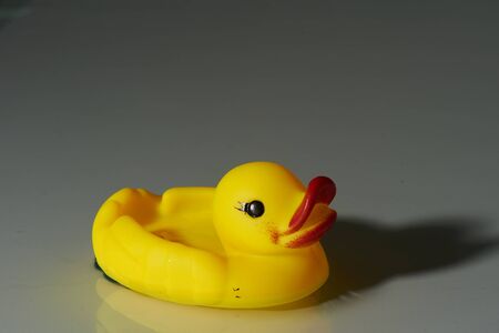 Toy Duck on water2の写真素材
