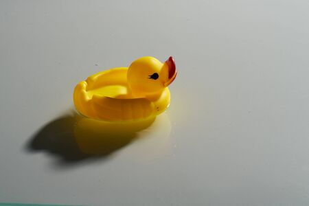 Toy Duck on water3の写真素材