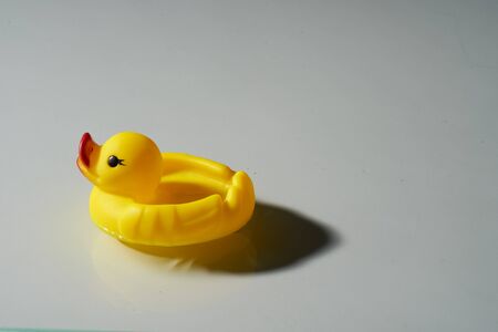 Toy Duck on water7の写真素材