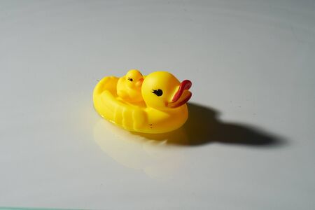Toy Duck on water8の写真素材