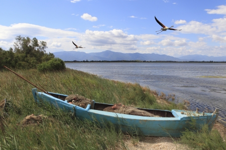 Etang et barque の写真素材