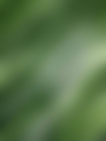 Abstract green backgroundの写真素材