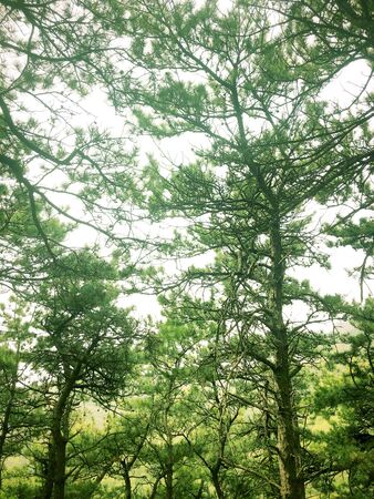 viewの写真素材