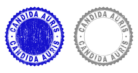 Grunge CANDIDA AURIS stamp seals isolated on a white background. Rosette seals with grunge texture in blue and grey colors. Vector rubber imitation of CANDIDA AURIS label inside round rosette.のイラスト素材