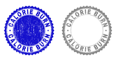 Grunge CALORIE BURN stamp seals isolated on a white background. Rosette seals with distress texture in blue and grey colors. Vector rubber imitation of CALORIE BURN label inside round rosette.のイラスト素材