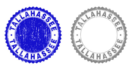 Grunge TALLAHASSEE stamp seals isolated on a white background. Rosette seals with grunge texture in blue and grey colors. Vector rubber watermark of TALLAHASSEE text inside round rosette.のイラスト素材
