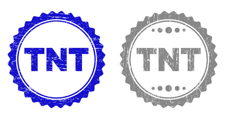 Grunge TNT stamp seals isolated on a white background. Rosette seals with distress texture in blue and gray colors. Vector rubber stamp imitation of TNT tag inside round rosette.のイラスト素材