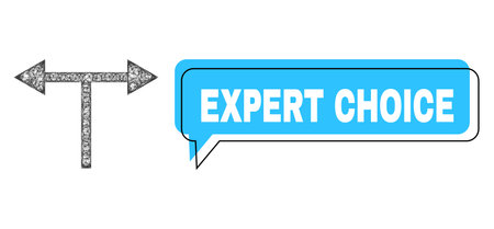 Speech Expert Choice blue cloud frame and network bifurcation arrows left right. Frame and colored area are misplaced to Expert Choice text, which is located inside blue cloud.のイラスト素材