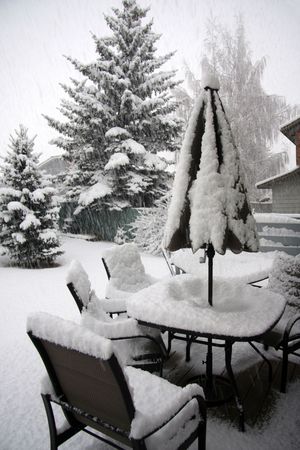 Winter  backyardの写真素材