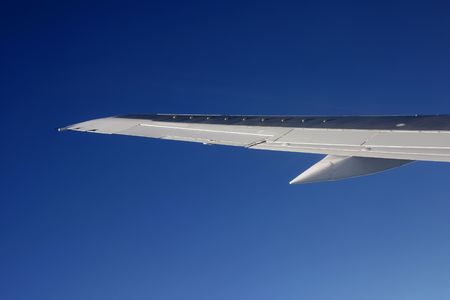 Wingの写真素材