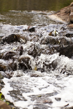 Water fall of a creek の写真素材