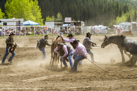WATER VALLEY, CANADA-JUN 6 2015:Unidentified Cowboy participating in the at the Bareback Bronco Water Valley Rodeo. This annual event is important for the rural as well as the sport loving community.のeditorial素材
