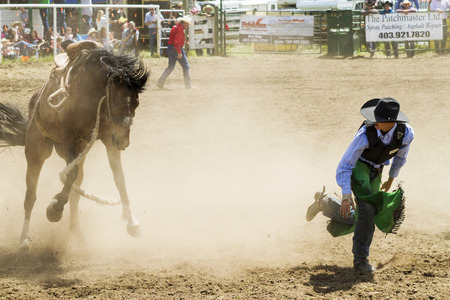 WATER VALLEY, CANADA-JUN 6 2015:Unidentified Cowboy participating in the at the Bareback Bronco Water Valley Rodeo. This annual event is important for the rural as well as the sport loving community.のeditorial素材