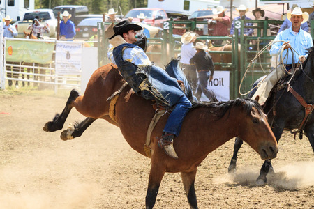 WATER VALLEY, CANADA-JUN 6 2015:Unidentified Cowboy participating in the at the Bareback Bronco Water Valley Rodeo. This annual event is important for the rural as well as the sport loving community.のeditorial素材