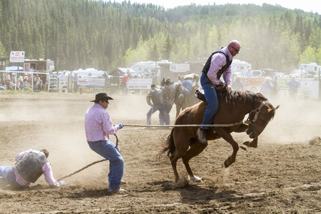 WATER VALLEY CANADA  JUN 6 2015:Unidentified Cowboy participating in the  Bareback Bronco Water Valley Rodeo.This annual event is important for the rural as well as the sport loving community.のeditorial素材