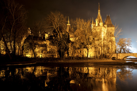 Vajdahunyad Castle in the City Park of Budapest by the night lights- Budapest city famous historical castle and nearby lake.のeditorial素材