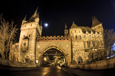 Vajdahunyad Castle in the City Park of Budapest by the night lights- Budapest city famous historical castle and nearby lake.のeditorial素材