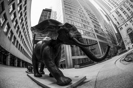 TORONTO CANADA 5.FEB. 2016: Bronze elephant sculptures -Tembo, Mother of Elephants - in the Financial District in downtown Toronto, Ontario in Canada.のeditorial素材