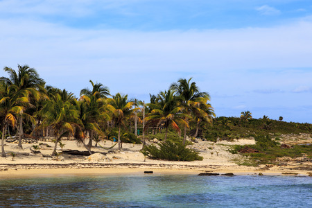COSTA MAYA - MEXICO JAN 30 2016:Costa Maya cruise ship terminal & resorts is a perfect place for all visitors -young and old - since many attractions awaiting on this tropical paradise.のeditorial素材