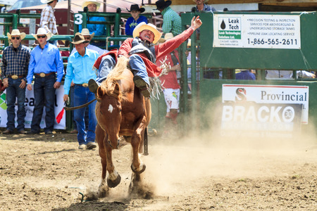 WATER VALLEY, CANADA-JUN 6 2015:Unidentified Cowboy participating in the at the Bareback Bronco Water Valley Rodeo. This annual event is important for the rural as well as the sport loving community.のeditorial素材