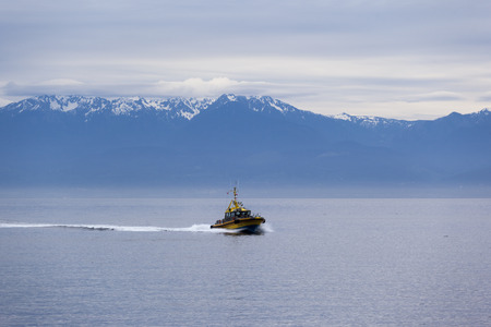 VICTORIA, BC, CANADA MAY 21 2016: Pilot Boat approaches a cruise. Each year hundreds of cruise ships docks in for a day or two. Victoria's charm and beauty has a lot to offer for any world traveler.のeditorial素材