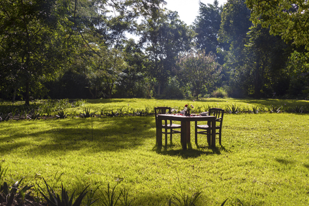Dinner In The Wilderness In Tanzania On Safariの写真素材