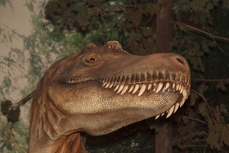 CALGARY, CANADA - 16, 2014: The Calgary ZOO exhibition of "Prehistoric Park" attract young and old to Imagine what it would be like back in Cretaceous Period (millions of years ago).のeditorial素材