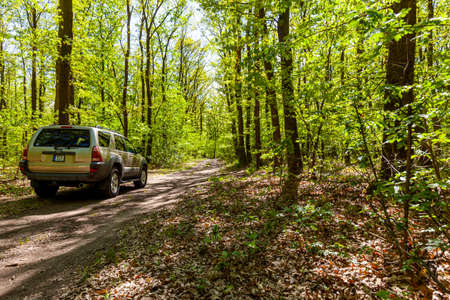Hungary Central mountain region May 1, 2020: Toyota 4Runner SUV touring along in the forestry tracks.のeditorial素材