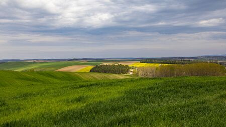 Field of rapeseed (canola) with beautiful cloud scape and church tower - plant for green energy