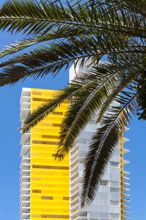 Apartment buildings some are the tallest residential building in the world - Surfers Paradise in...