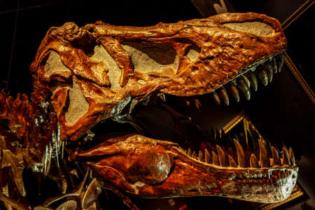 Drumheller, Canada - Mar 27 2019: Visitors flock to the dinosaur exhibits at the entrance of the Royal Tyrrell Museum . The museum is famous for its paleontology research and 130,000 fossils.のeditorial素材