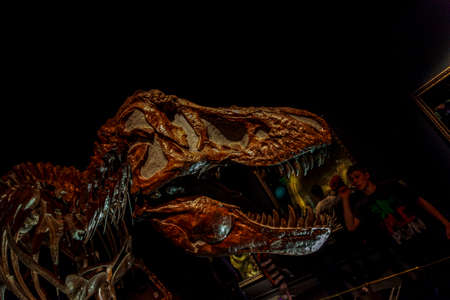 Drumheller, Canada - Mar 27 2019: Visitors flock to the dinosaur exhibits at the entrance of the Royal Tyrrell Museum . The museum is famous for its paleontology research and 130,000 fossils.のeditorial素材