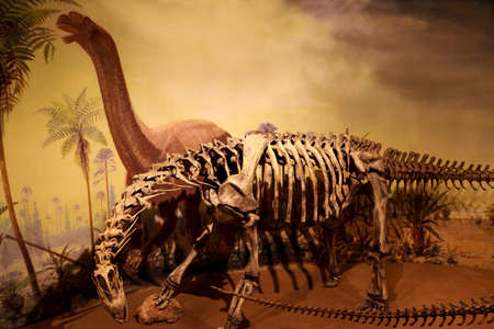 Drumheller, Canada - Mar 27 2019: Visitors flock to the dinosaur exhibits at the entrance of the Royal Tyrrell Museum . The museum is famous for its paleontology research and 130,000 fossils.のeditorial素材